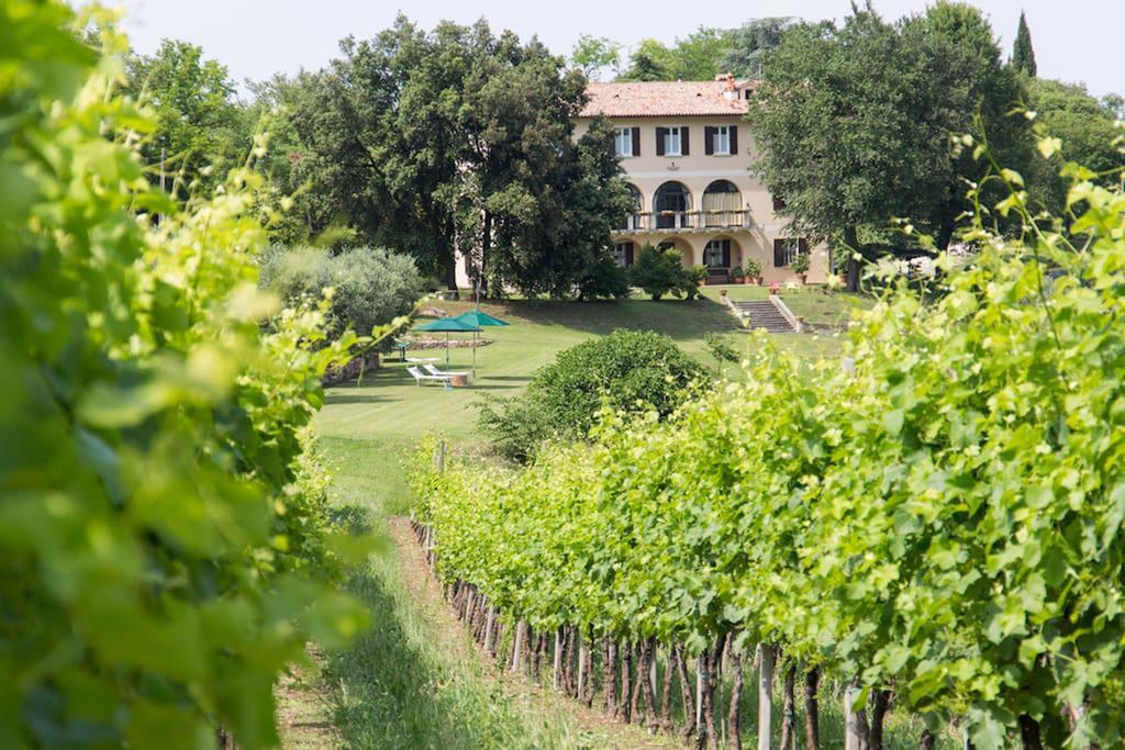 Villa Marani Rovolon Екстериор снимка